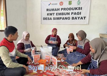Sentuhan PHE Jambi Merang Ubah Singkong Jadi Sumber Harapan