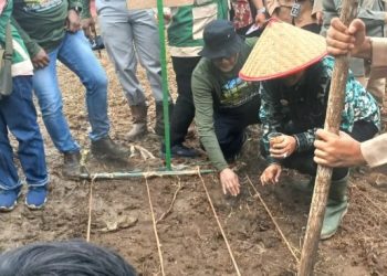 Edukasi dan Aksi Nyata, Pemkot Jambi Libatkan Pramuka dalam Ketahanan Pangan