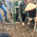 Edukasi dan Aksi Nyata, Pemkot Jambi Libatkan Pramuka dalam Ketahanan Pangan