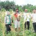 Muhammad Yasir Apresiasi Petani Tunas Jaya di Panen Raya Jagung
