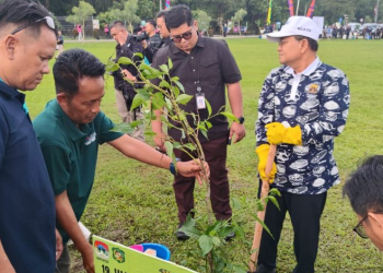 Tanam Pohon Kananga Pada Rangkaian APEKSI, Wali Kota Maulana Tekankan Sebagai Upaya Menciptakan “Kota Tangguh”